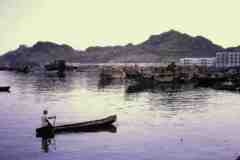 ���� ������ ��� ��� ����